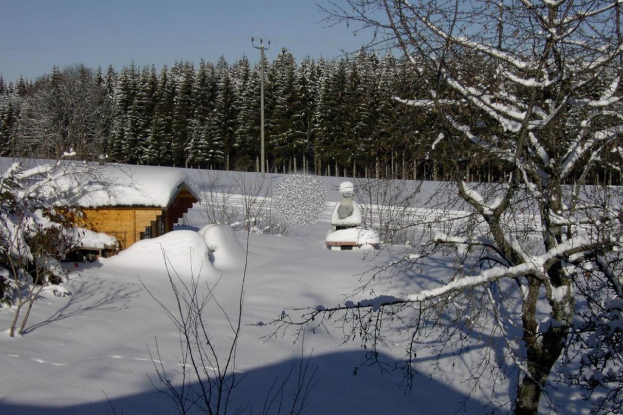 Ferienhaus Klingenbrunn Spiegelau Exterior foto